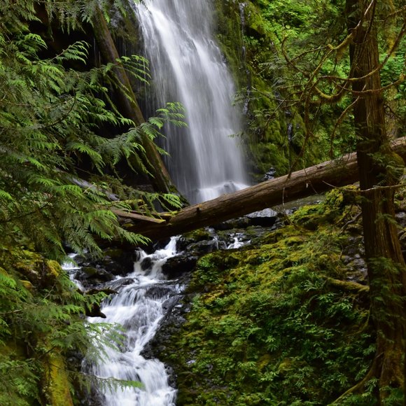 Closet Closing Announcement - Picture 8 of 13